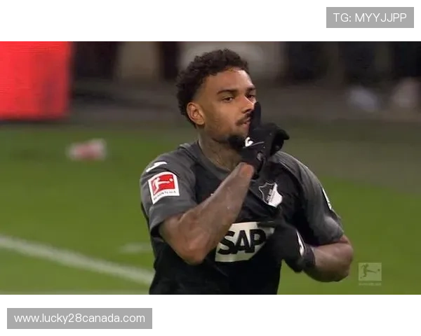 霍芬海姆黑马之旅:从升班马到联赛第三的崛起 霍芬海姆黑马之旅:从升班马到联赛第三的崛起